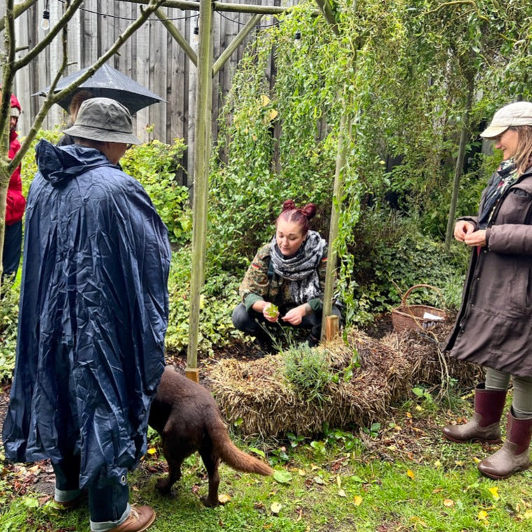 Lead Wild Food Foraging Walks