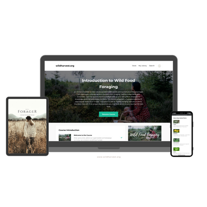 Online Foraging Course